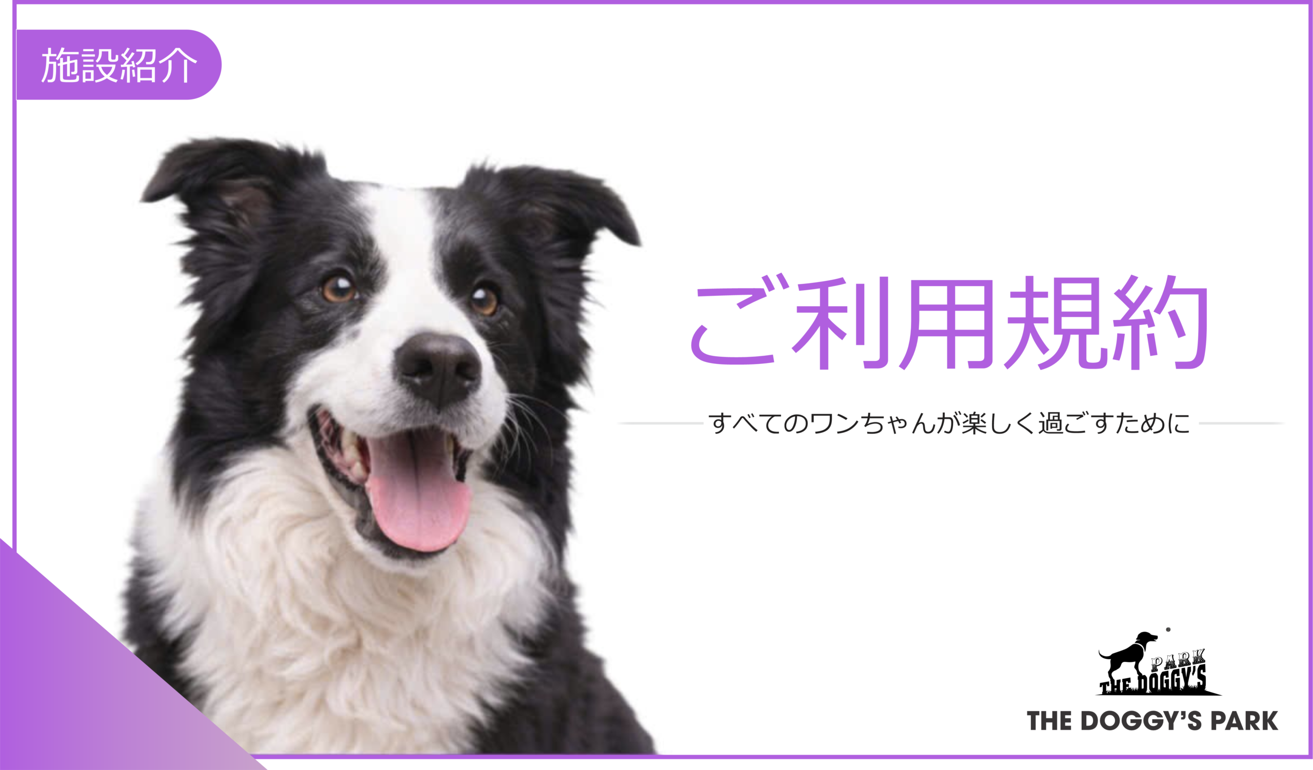 アクセス