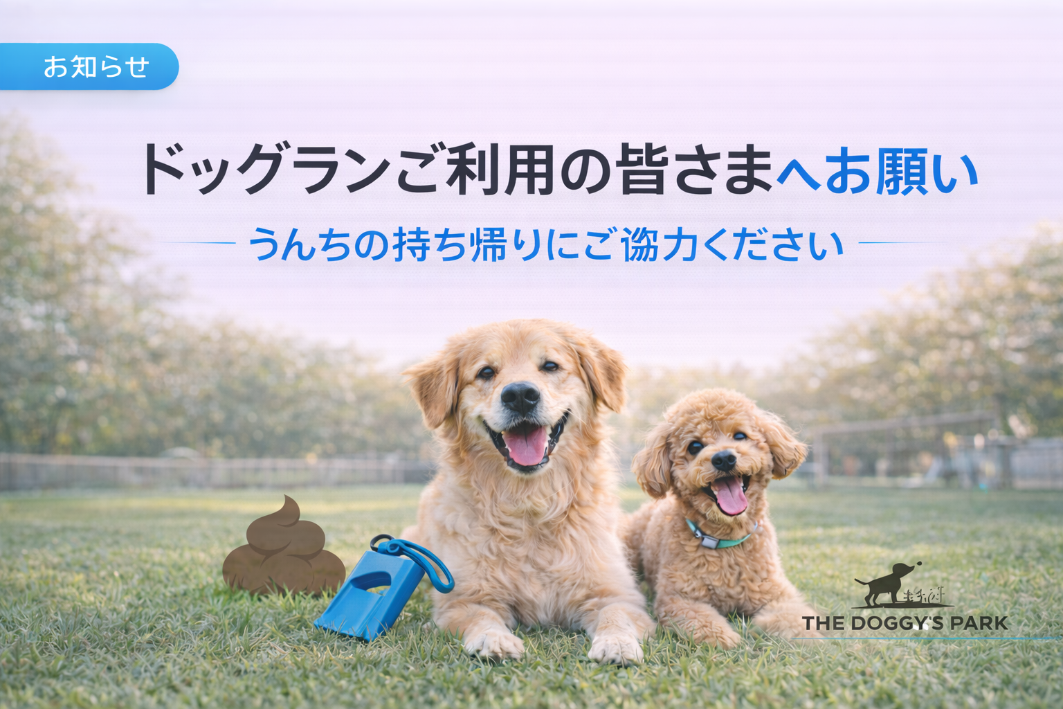 ビジターキャンセルポリシー