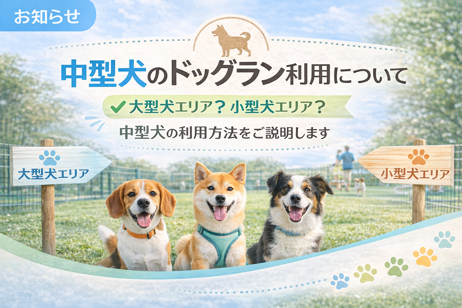 小型犬エリア・大型犬エリアどちらを利用する?