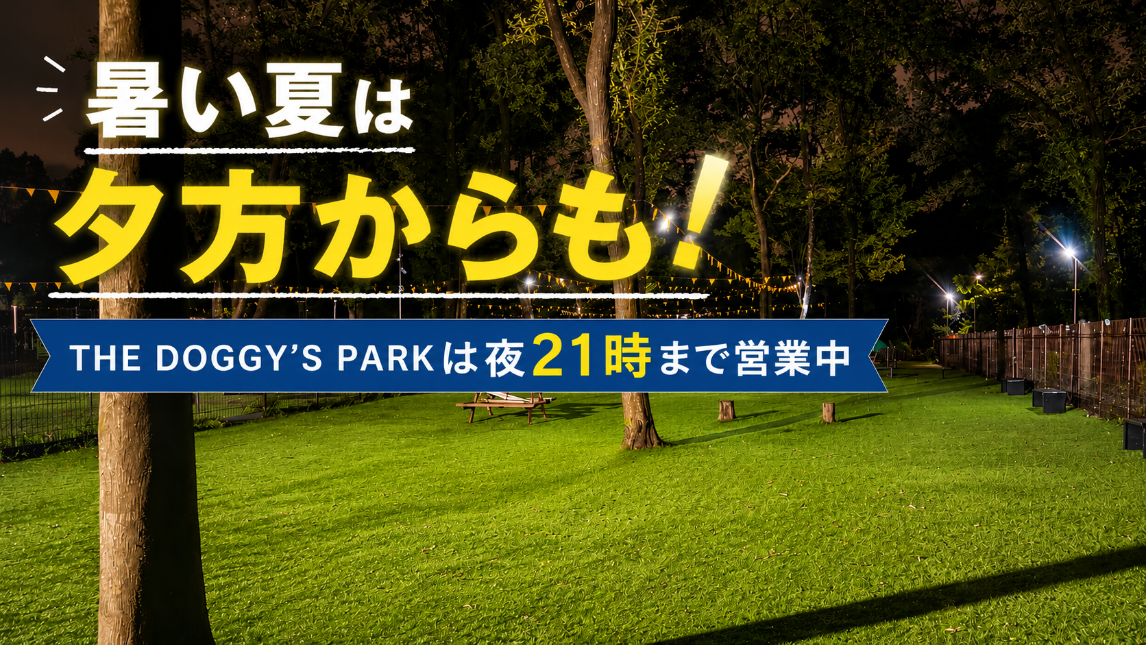 暑い夏は夕方からも。THE DOGGY’S PARKは21時まで営業しています🌙🐶