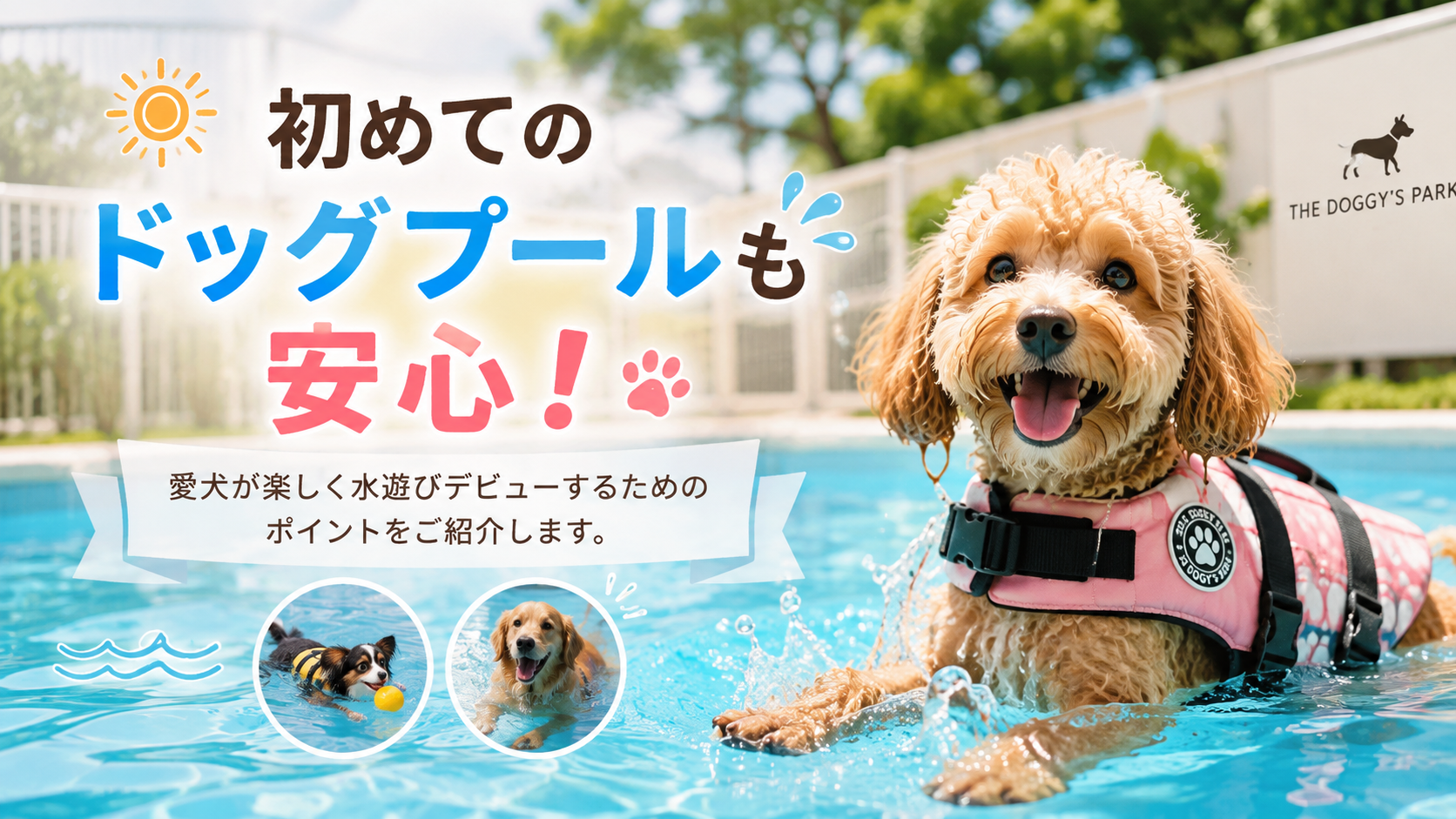 犬は泳ぎが得意?苦手?犬種による違いを解説