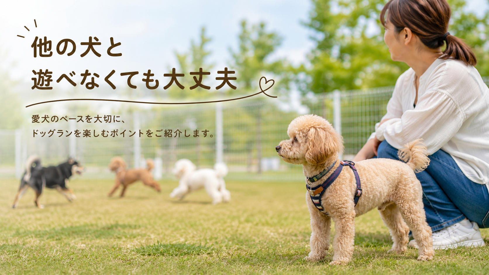 犬は泳ぎが得意?苦手?犬種による違いを解説
