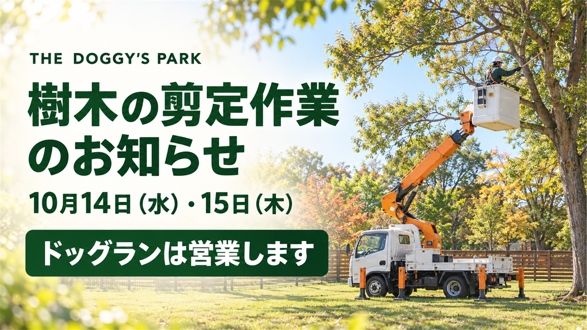 【10月14日・15日】樹木の剪定作業のお知らせ(ドッグランは営業します) 樹木の剪定作業のお知らせ。10月14日(水)・15日(木)。ドッグランは営業します。